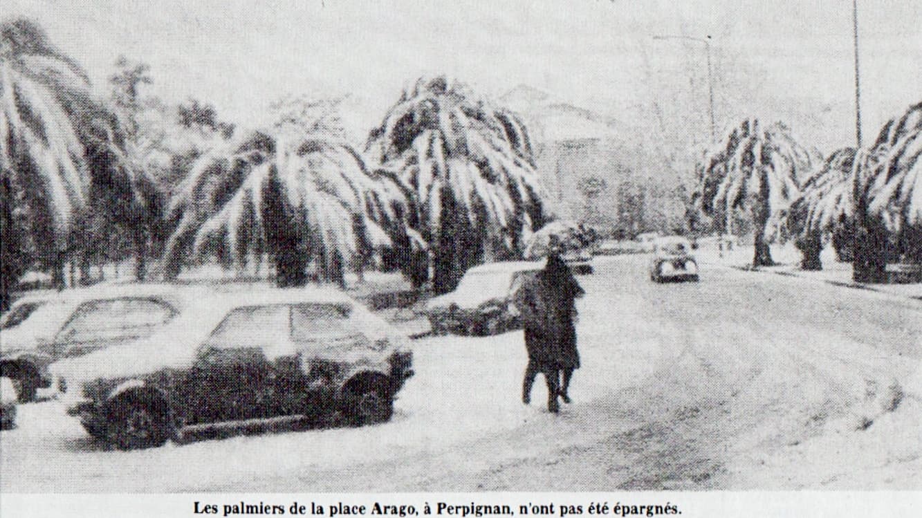 Image d'illustration pour Neige près de la Méditerranée : archives et climatologie