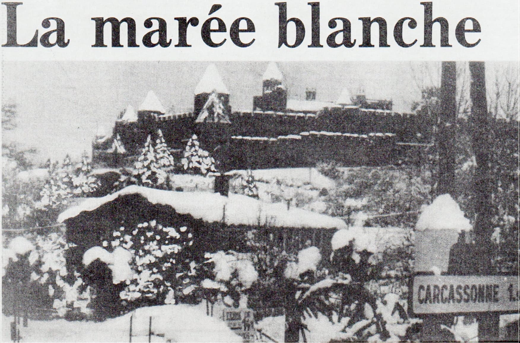 Image d'illustration pour Neige près de la Méditerranée : archives et climatologie