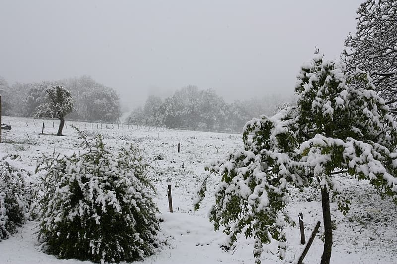 Image d'illustration pour Neige tardive après le 15 mai en moyenne montagne : pas si rare