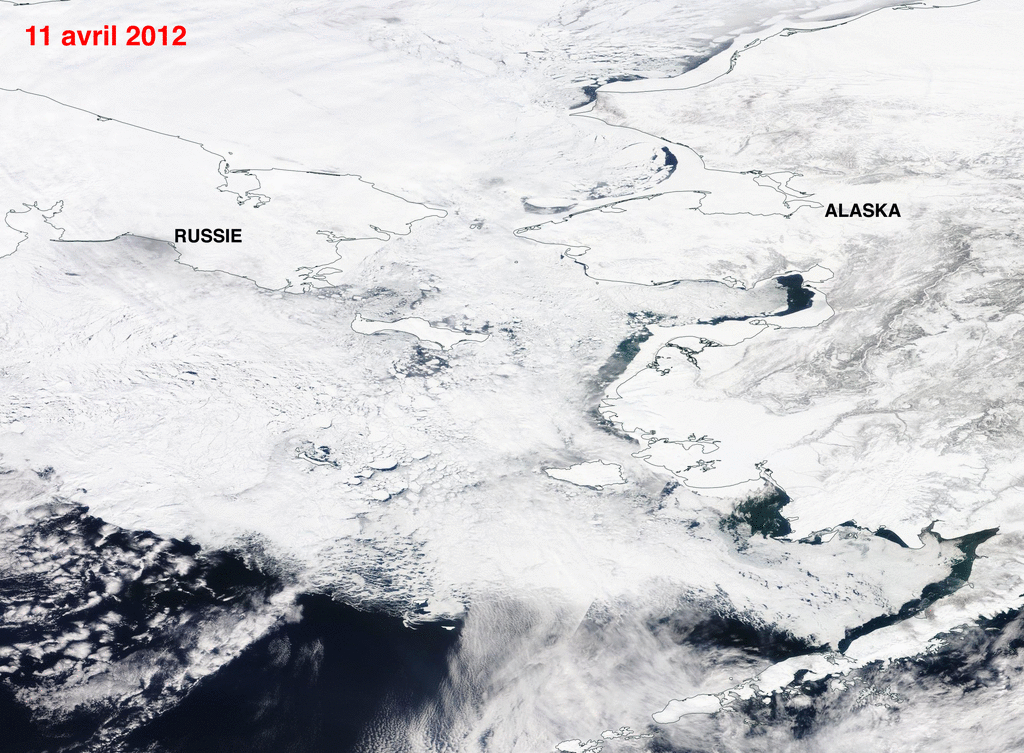 Image d'illustration pour Une banquise Arctique de tous les records en avril !
