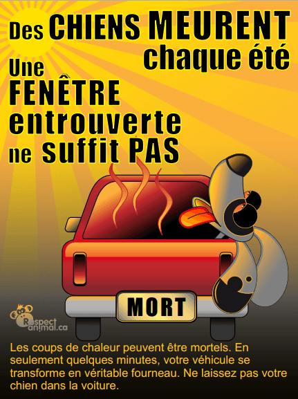 Image d'illustration pour Fortes chaleurs : ne laissez jamais un chien dans une voiture