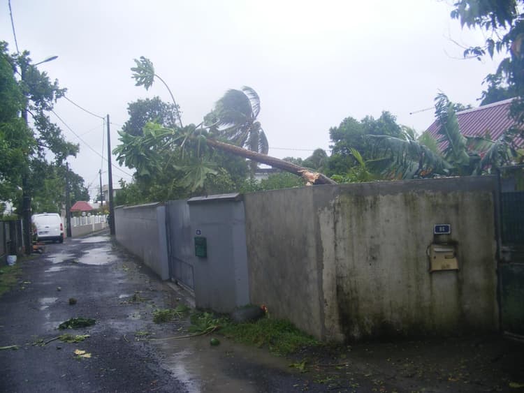 Image d'illustration pour Bilan du passage de Bejisa près de La Réunion
