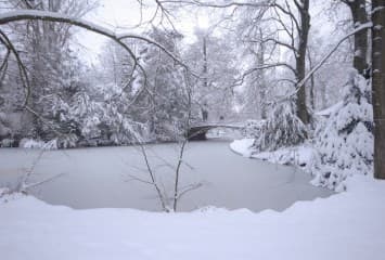 Image d'illustration pour Pas de Noël blanc en plaine en 2018