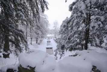 Image d'illustration pour Pas de Noël blanc en plaine en 2018