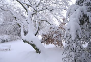Image d'illustration pour Pas de Noël blanc en plaine en 2018