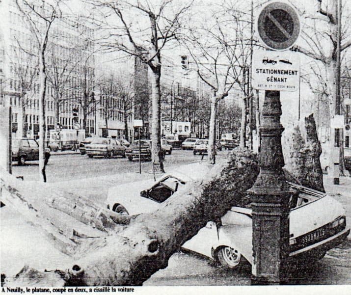 Image d'illustration pour Février 1990 : excessivement doux et tempétueux