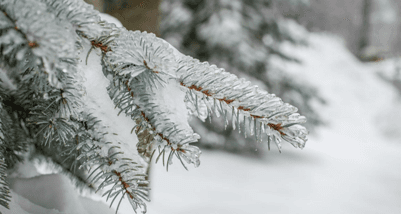 Image d'illustration pour Froid, neige et verglas au Canada et aux Etats-Unis