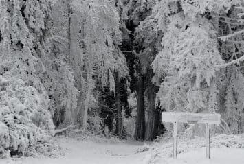 Image d'illustration pour Neige et froid à l'Est mais sans excès