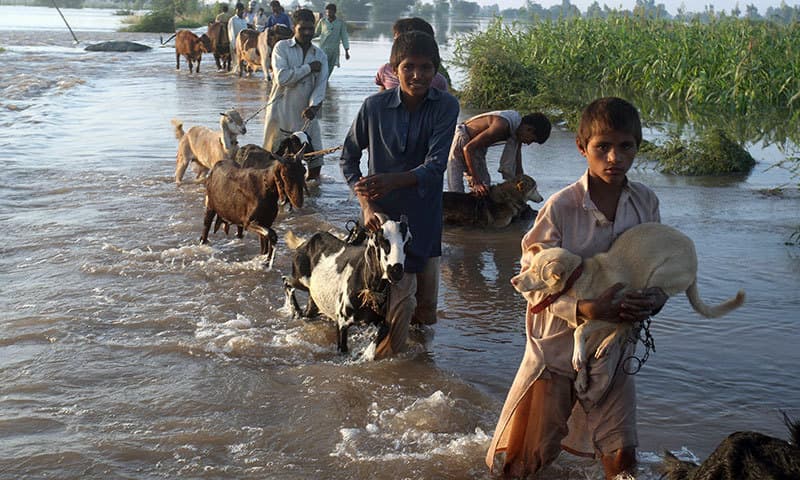 Image d'illustration pour Mousson : inondations dramatiques en Inde et au Pakistan