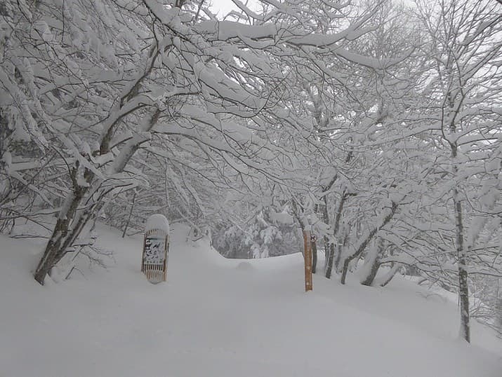 Image d'illustration pour Fortes chutes de neige et risque d'avalanche en montagne