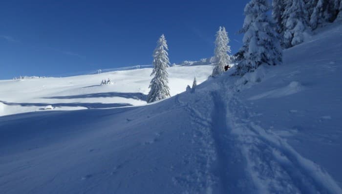 Image d'illustration pour Neige & soleil : des conditions idyliques en montagne