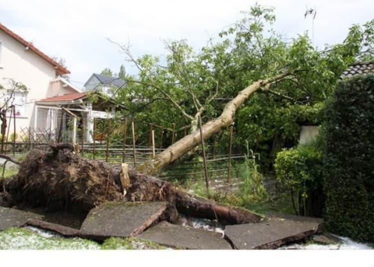 Image d'illustration pour Orage fort en Aquitaine - Grêle et rafales sur le Béarn