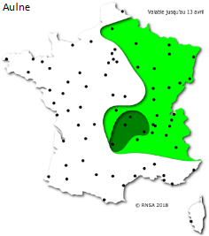 Image d'illustration pour La saison des pollens et des allergies bat son plein
