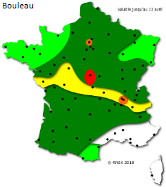 Image d'illustration pour La saison des pollens et des allergies bat son plein
