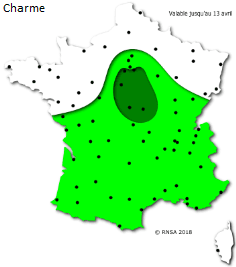 Image d'illustration pour La saison des pollens et des allergies bat son plein