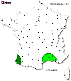 Image d'illustration pour La saison des pollens et des allergies bat son plein