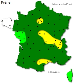 Image d'illustration pour La saison des pollens et des allergies bat son plein