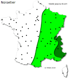 Image d'illustration pour La saison des pollens et des allergies bat son plein