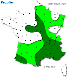 Image d'illustration pour La saison des pollens et des allergies bat son plein
