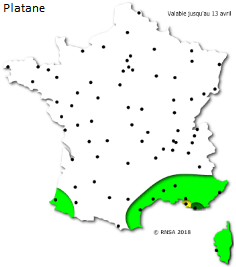 Image d'illustration pour La saison des pollens et des allergies bat son plein