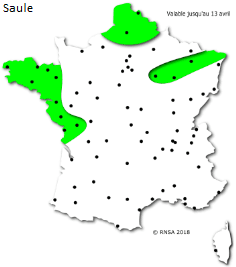Image d'illustration pour La saison des pollens et des allergies bat son plein