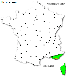 Image d'illustration pour La saison des pollens et des allergies bat son plein