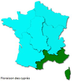Image d'illustration pour La saison des pollens et des allergies bat son plein