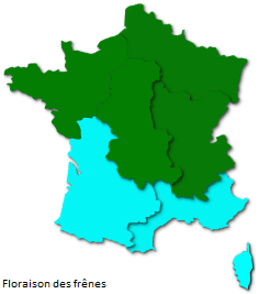 Image d'illustration pour La saison des pollens et des allergies bat son plein