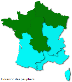 Image d'illustration pour La saison des pollens et des allergies bat son plein