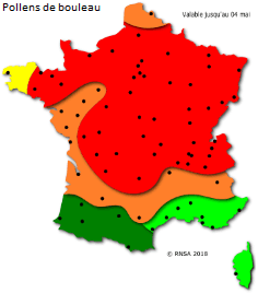 Image d'illustration pour La saison des pollens et des allergies bat son plein