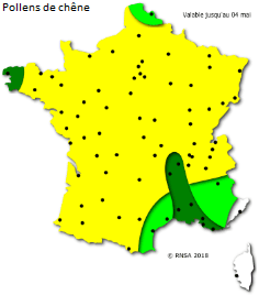 Image d'illustration pour La saison des pollens et des allergies bat son plein