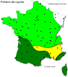 Image d'illustration pour La saison des pollens et des allergies bat son plein