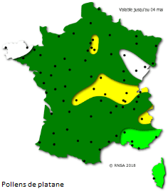 Image d'illustration pour La saison des pollens et des allergies bat son plein