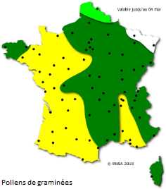 Image d'illustration pour La saison des pollens et des allergies bat son plein