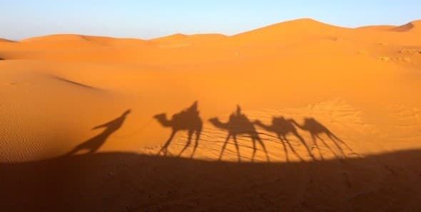 Image d'illustration pour Revue de presse des changements climatiques