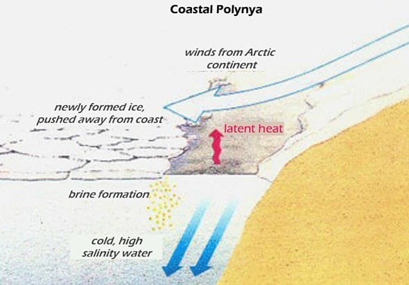 Image d'illustration pour Revue de presse des changements climatiques
