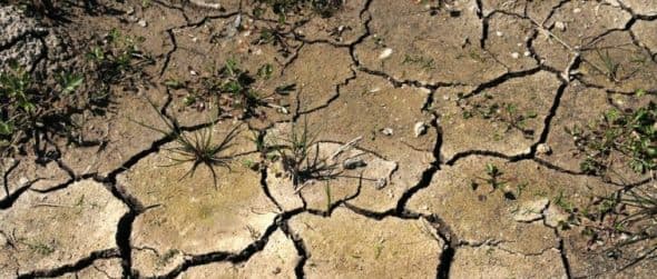 Image d'illustration pour Revue de presse des changements climatiques