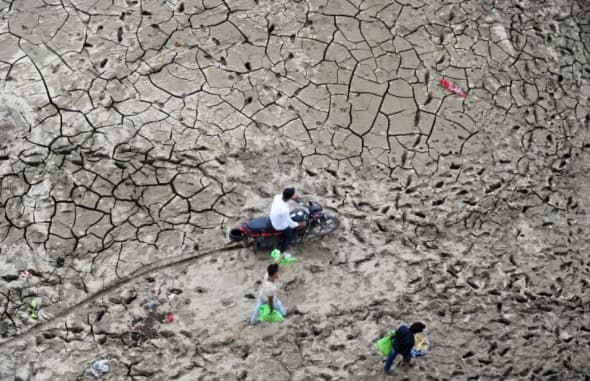 Image d'illustration pour Revue de presse des changements climatiques