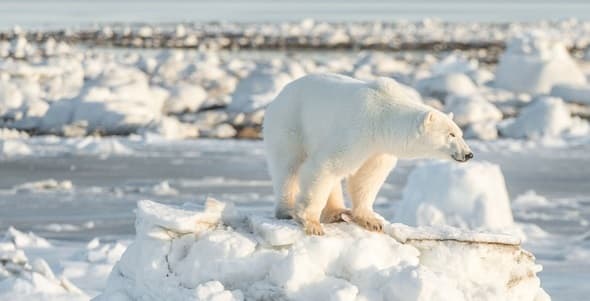 Image d'illustration pour Revue de presse des changements climatiques