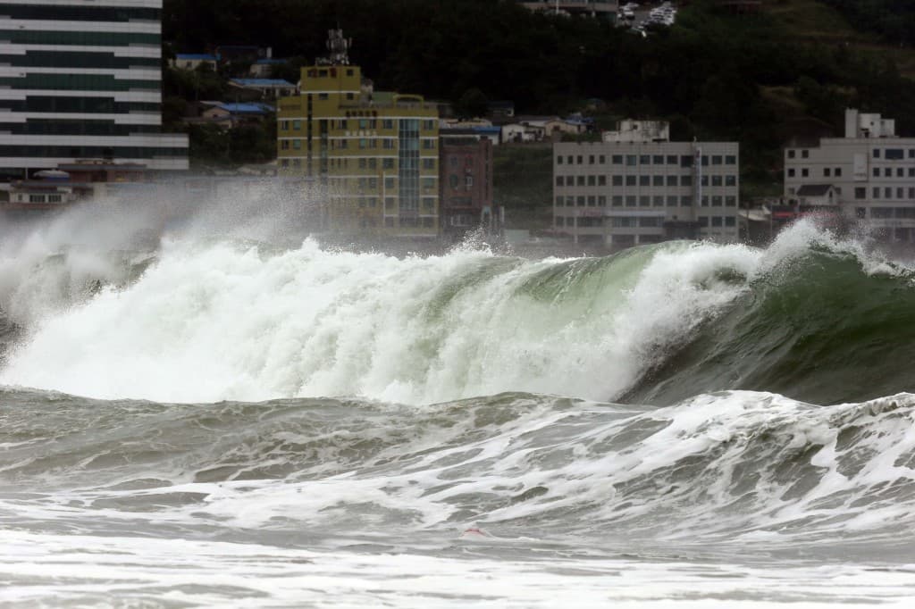Image d'illustration pour Cyclone : tempête tropicale Nakri - pluies diluviennes en Corée et au Japon