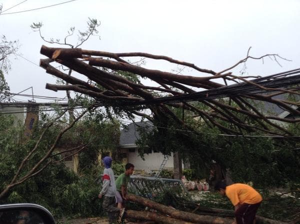 Image d'illustration pour Typhon Rammasun ou Glenda : lourd bilan (Philippines, Chine et Vietnam)