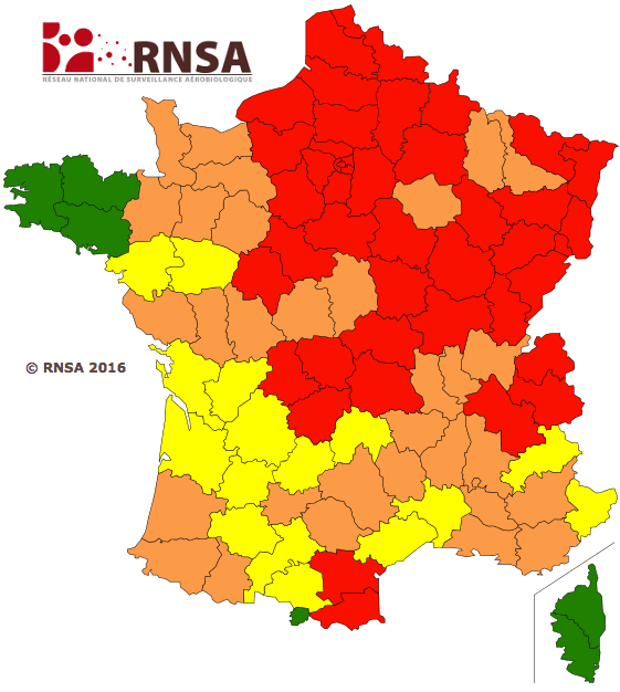 Image d'illustration pour Risque allergique très élevé cette semaine