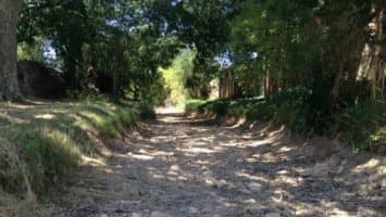 Image d'illustration pour Plein été et grosse chaleur près de la Méditerranée