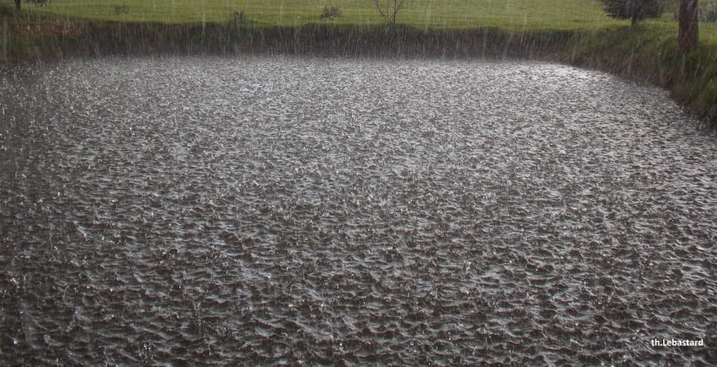 Image d'illustration pour Giboulées de mars : vos photos